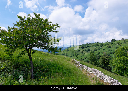 Italiano di terza linea di difesa trench sul na Gradu sul Kolovrat cresta sopra la valle di Soca, Primorska, Slovenia. Foto Stock