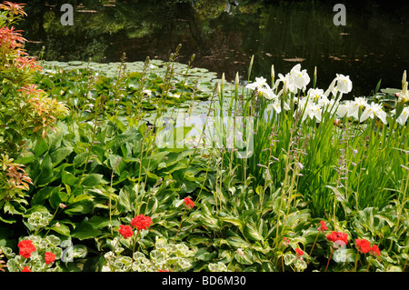 Display floreale in Butchart Gardens Vicino a Victoria sull isola di Vancouver in British Columbia in Canada Foto Stock