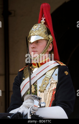 Trooper dal Blues e Royals Cavalleria domestici Horseguards Londra Inghilterra Gran Bretagna Venerdì 03 Luglio 2009 Foto Stock