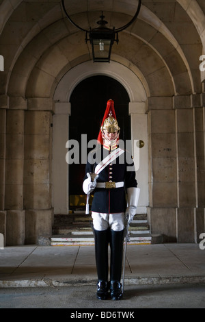 Trooper dal Blues e Royals Cavalleria domestici Horseguards Londra Inghilterra Gran Bretagna Venerdì 03 Luglio 2009 Foto Stock