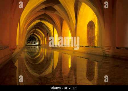 Royal residence, Real palazzo di Alcazar, Reales Alcazares, Baños de Dona Maria de Padilla, uno stagno nelle cantine a volta, Siviglia, Foto Stock