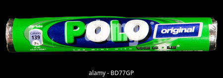 Polo conia Shot in Studio Foto Stock