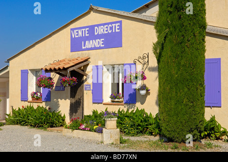 Negozio di lavanda al villaggio di Valensole Alpes de Haute Provence Provence Provenza Alpes Costa Azul Francia Foto Stock