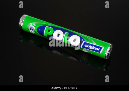 Polo zecche su sfondo nero girato in studio Foto Stock