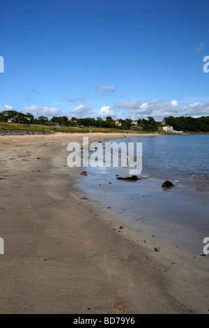 Helens Bay beach ora parte di crawfordsburn Country Park in North County down Irlanda del Nord Regno Unito Foto Stock