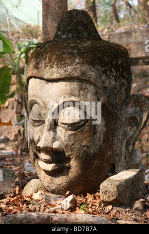 Testa di Buddha uno a terra di Wat Umong in Chiang Mai Thailandia Foto Stock