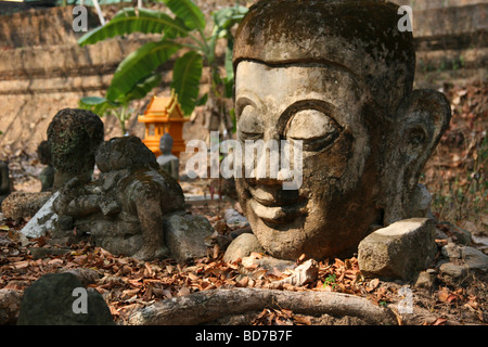 Testa di Buddha uno a terra di Wat Umong in Chiang Mai Thailandia Foto Stock