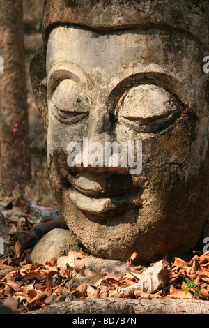 Testa di Buddha uno a terra di Wat Umong in Chiang Mai Thailandia Foto Stock