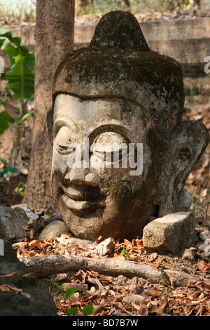 Testa di Buddha uno a terra di Wat Umong in Chiang Mai Thailandia Foto Stock