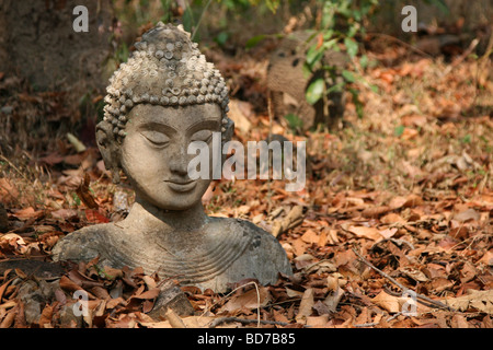 Testa di Buddha uno a terra di Wat Umong in Chiang Mai Thailandia Foto Stock