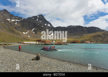Antartico pelliccia sigillo orologi zodiac barca piena di turisti lo sbarco per visitare il vecchio rovinato stazione baleniera Grytviken Georgia del Sud Foto Stock