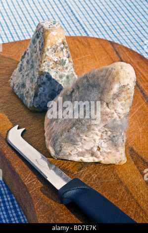 Vecchio, disco, ammuffito, fatti a mano piramide di formaggio di capra / fromage de chevre, Francia. Foto Stock