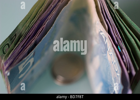 Dollaro Canadese dollar canadien loonie valuta del Canada una profondità di campo limitata a causa di messa a fuoco minima Foto Stock