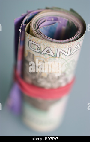 Dollaro Canadese dollar canadien loonie valuta del Canada una profondità di campo limitata a causa di messa a fuoco minima Foto Stock