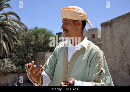 Il serpente incantatore holding snake, Medina, Tangeri, Regione Tangier-Tétouan, Marocco Foto Stock