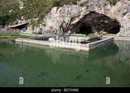 L'esterno e ultraperiferiche stagni di pesce della Grotta di Tiberio a Sperlonga, con pesce in primo piano. Foto Stock