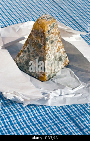 Vecchio, disco, ammuffito, fatti a mano piramide di formaggio di capra / fromage de chevre, Francia. Foto Stock