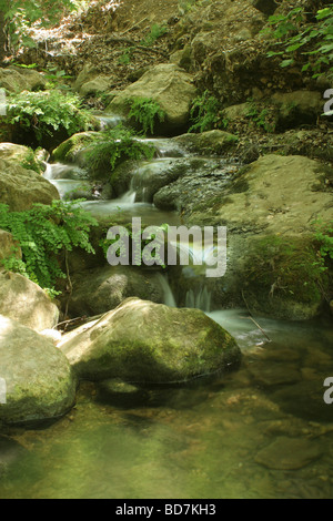 Israele Galilea Amud flusso montante riserva naturale e parco Foto Stock