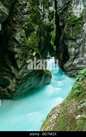 Il fiume Tolminka in Korita Tolminke, Tolmin gole, Primorska, Slovenia. Foto Stock