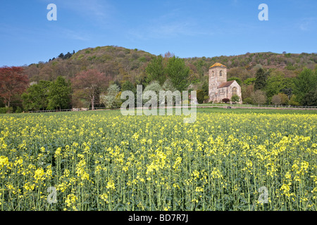 Little Malvern Priory Worcestershire Inghilterra REGNO UNITO Foto Stock