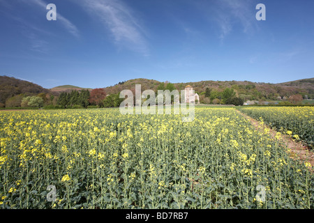 Little Malvern Priory Worcestershire Inghilterra REGNO UNITO Foto Stock