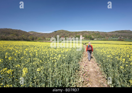 Little Malvern Priory Worcestershire Inghilterra REGNO UNITO Foto Stock