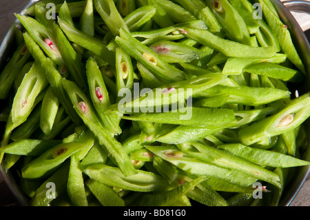 Organici imperatore scarlatto i baccelli pronti per la cottura Foto Stock