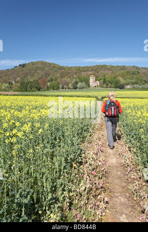 Little Malvern Priory Worcestershire Inghilterra REGNO UNITO Foto Stock