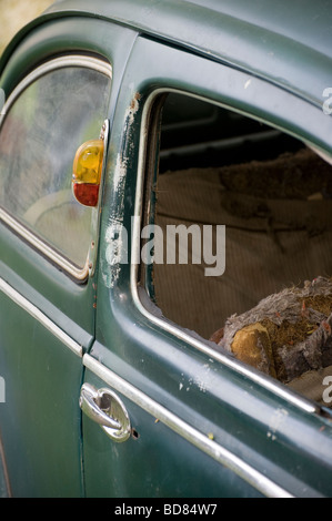 Close up dettaglio dell'interno di un vecchio arrugginito scarabeo di Volkswagen auto Foto Stock