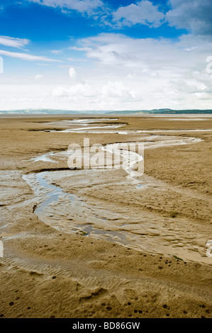 Intertidal mudflats e sabbia di Bolton-le-Sands, Morecambe Bay. REGNO UNITO Foto Stock