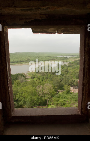 Un Ranthambore forest view dalla finestra di Ranthambore Fort Rajasthan, India. Foto Stock