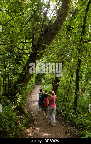 Gruppo di escursionisti a guardare la fauna selvatica lungo un sentiero nella Monteverde Cloud Forest Riserve, Costa Rica. Foto Stock