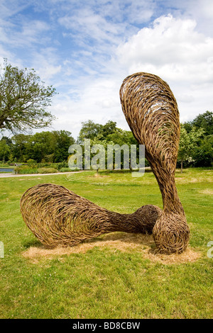 Platano gigante scultura di semi Foto Stock