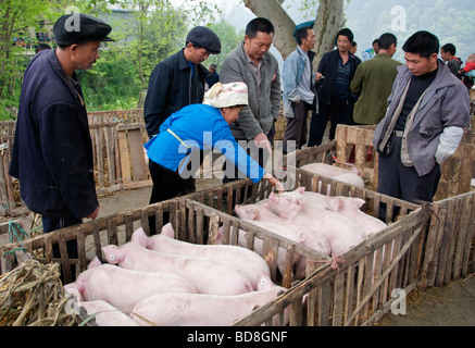 Persone selezionando un maiale nel mercato Guizhou Cina Foto Stock