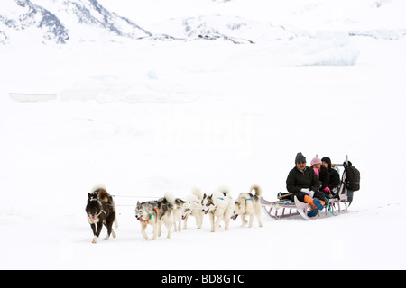 Greenlands sledgedogs nel villaggio Kulusuk Groenlandia Foto Stock
