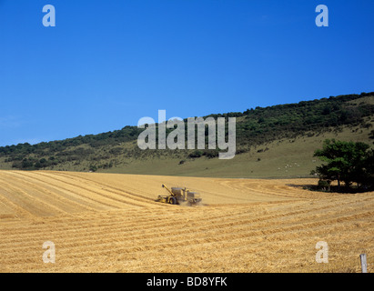 Tempo del raccolto sulla South Downs vicino al villaggio di Wilmington Foto Stock