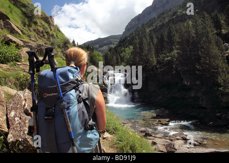 Femmina Walker Hill sulla GR11 Sentiero godendo della vista di una cascata sul Rio Arazas nel Ordesa Canyon Pirenei Spagna Foto Stock