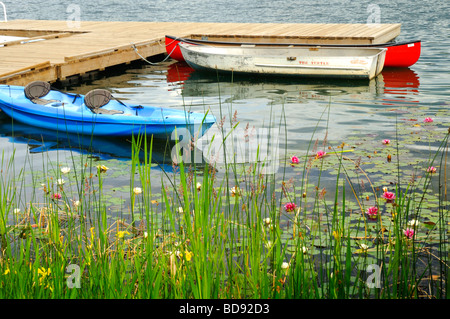 In canoa tra le waterlilies al bellissimo e tranquillo Lago olandese in Clearwater, British Columbia, Canada Foto Stock