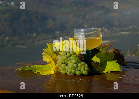 Federweißer vino nuovo 05 Foto Stock
