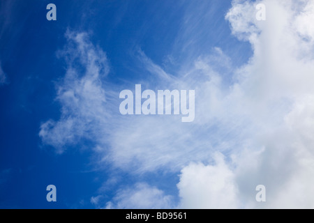Cielo blu con nuvole cirrus cercando