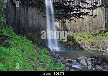 Cascata Svartifoss parco Skaftafell Islanda Foto Stock