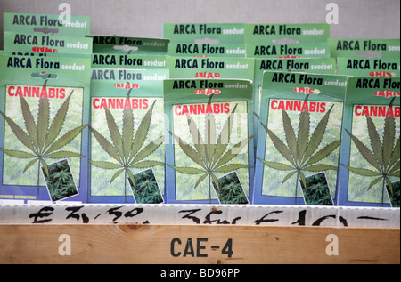 Semi di Cannabis in vendita a Amsterdam Foto Stock