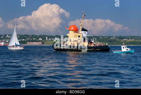 Tourist personaggio dei fumetti theodore rimorchiatore a traino e barca a vela nel porto di halifax dartmouth Nova Scotia Foto Stock