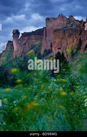 Smith Rock State Park muso di scimmia a sinistra vicino a Redmond Oregon Foto Stock