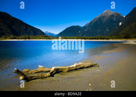 Nuova Zelanda Southland Parco Nazionale di Fiordland McKerrow sul lago e sulle montagne circostanti di Hollyford Valley Foto Stock