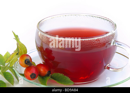 Tee Hagebutte rose hip tea 04 Foto Stock