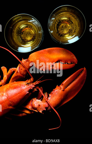Aragosta e champagne Homarus Americanus cibo Foto Stock