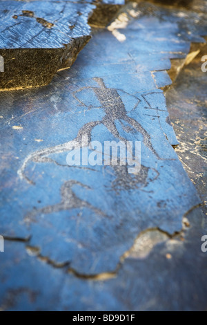 Rock carving (dipinto) in Sarmysh Gorge, Uzbekistan. Foto Stock