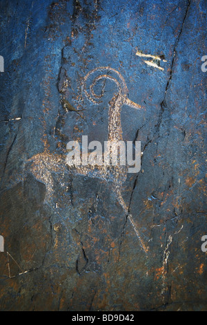 Rock carving (dipinto) in Sarmysh Gorge, Uzbekistan. Foto Stock