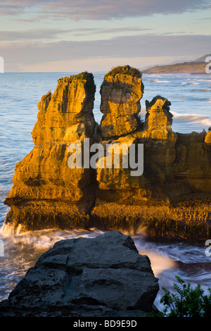 Stack di mare Punakaiki costa ovest di Isola del Sud della Nuova Zelanda Foto Stock